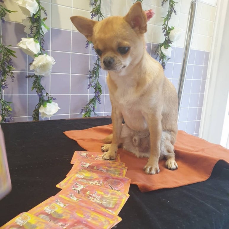 (주)두리에너지 이미지