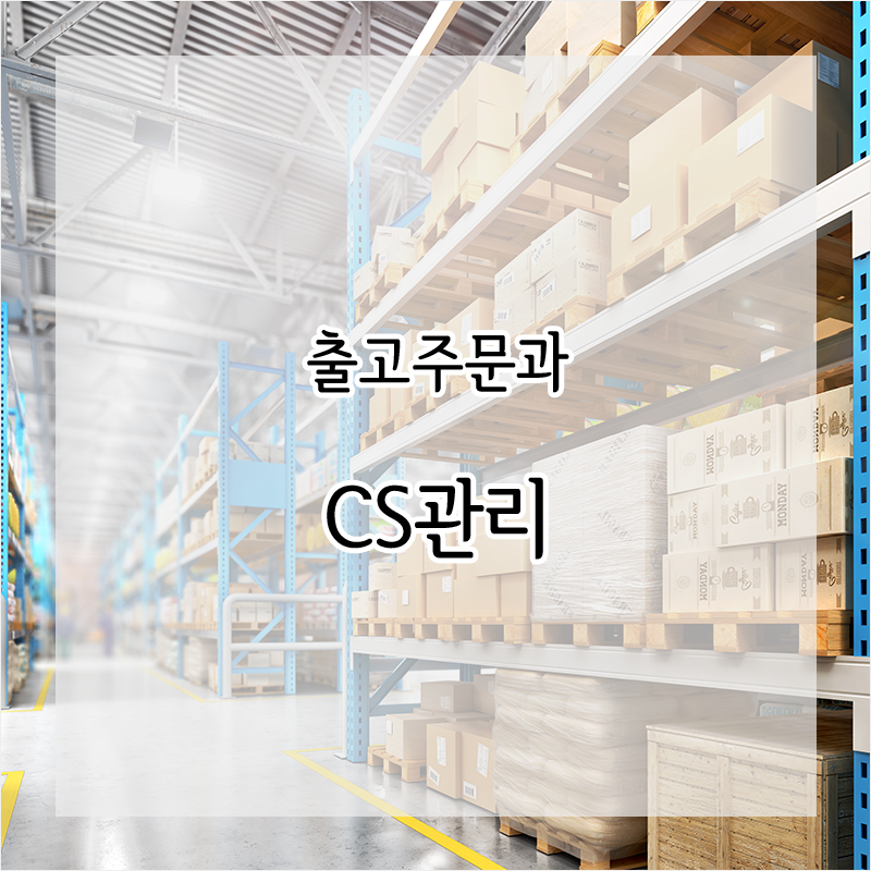디아이시스템(주) 이미지