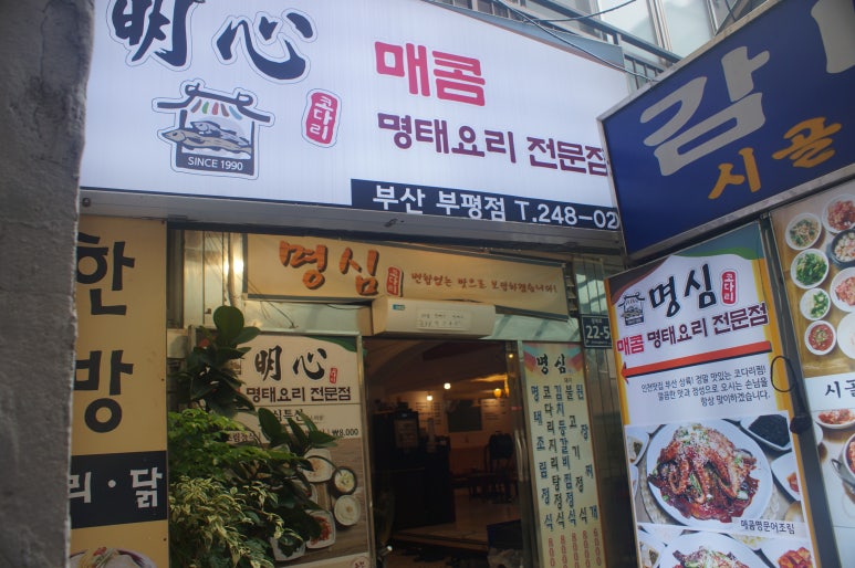 남포코다리 이미지