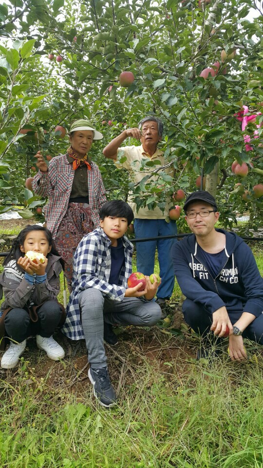 선문농원 이미지