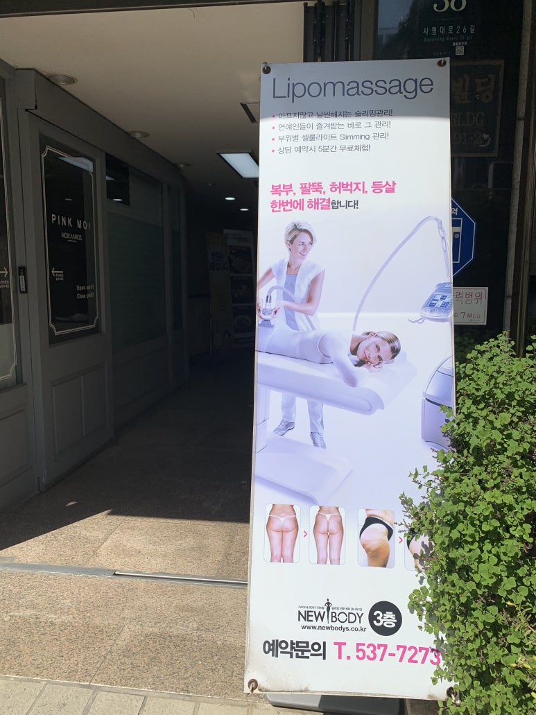 뉴바디 이미지