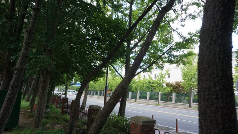 대인종합건설(주) 이미지
