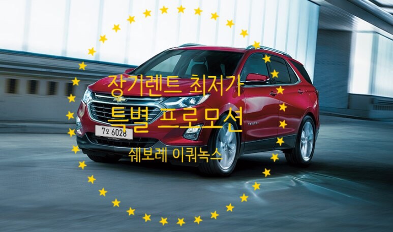 동수카 이미지