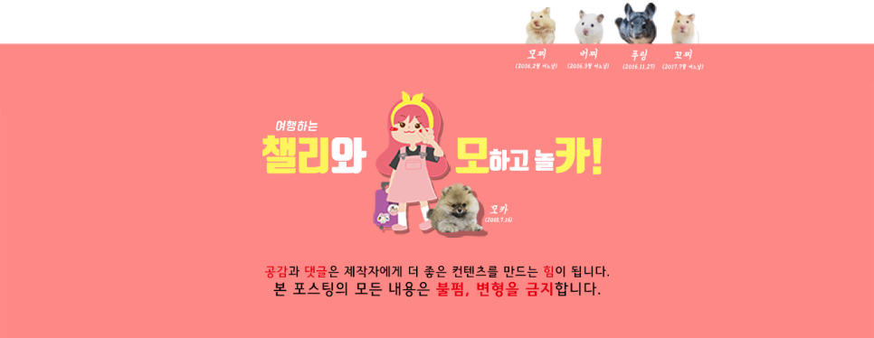셀프체험샵 이미지