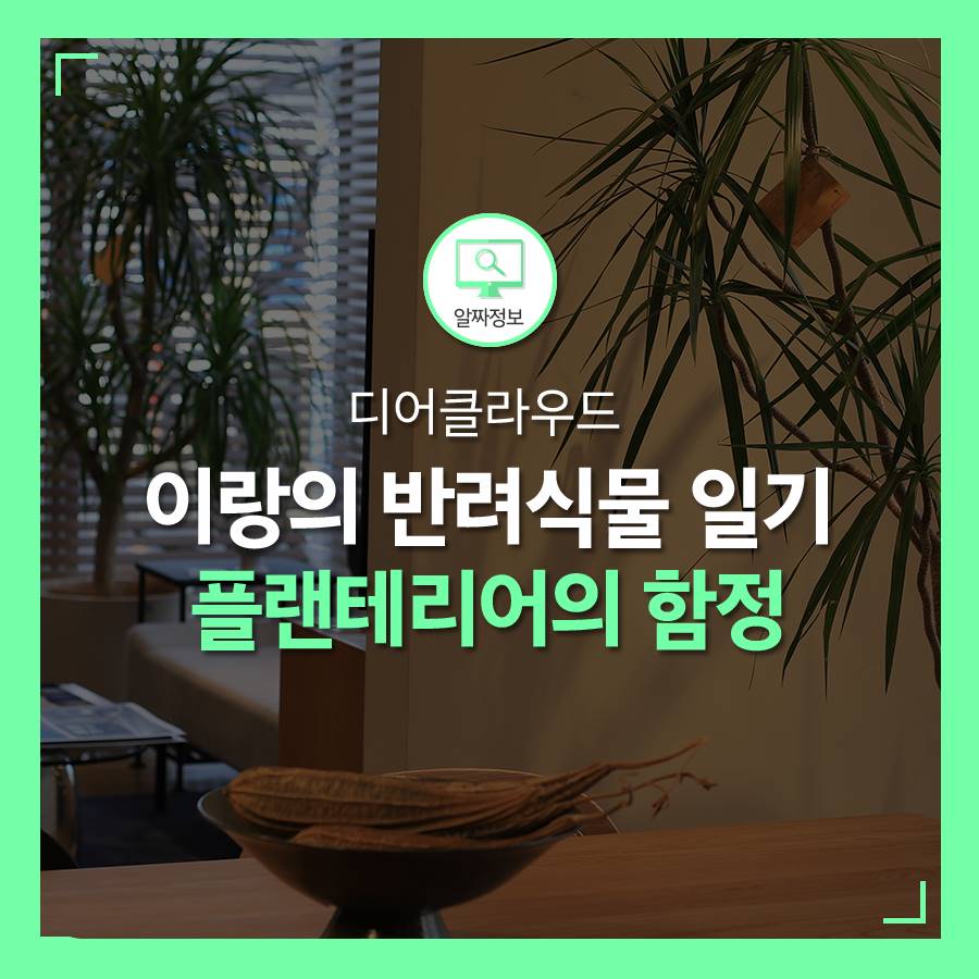 이랑가드닝 이미지