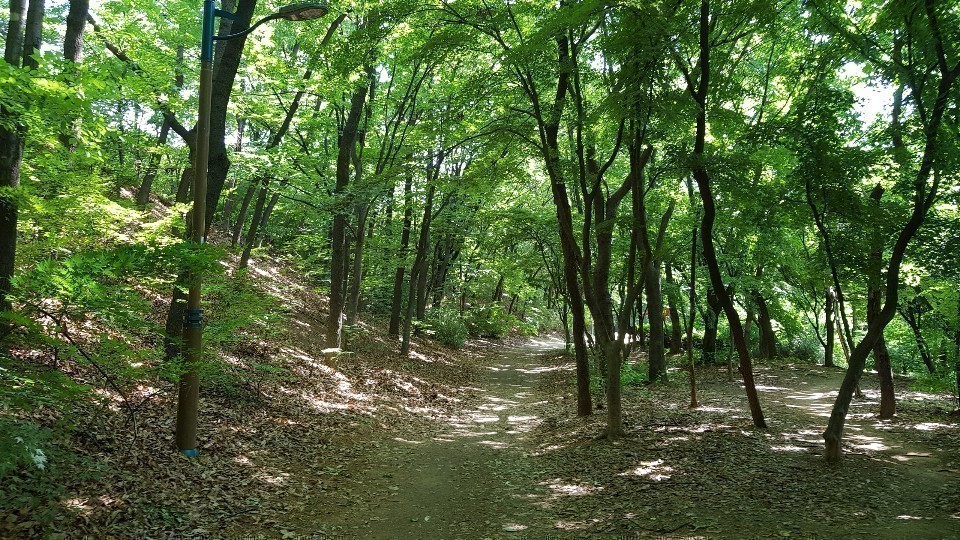 목동커피 이미지
