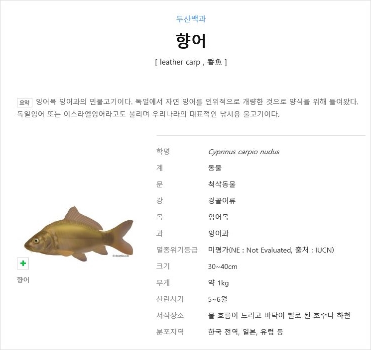 들러리횟집 이미지