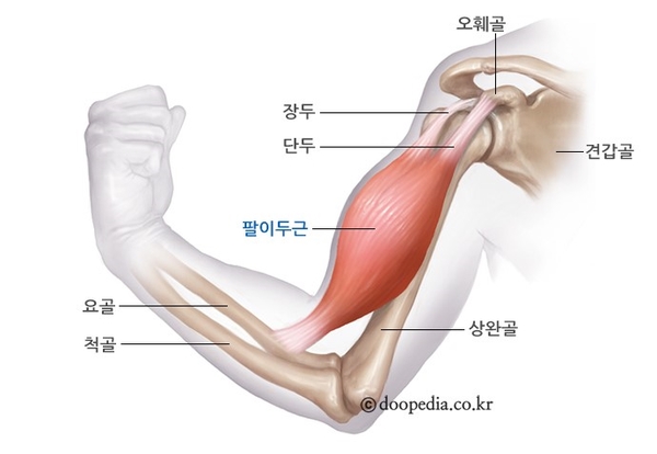 멋짐헬스&PT 이미지