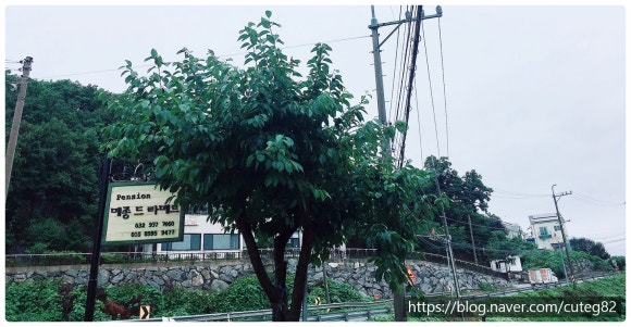 메종드라메르 이미지