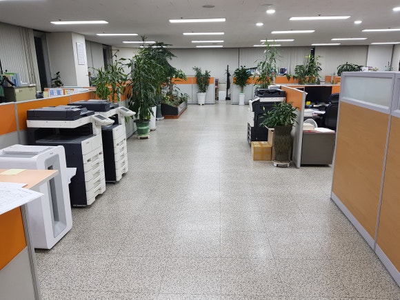 푸른청소 이미지