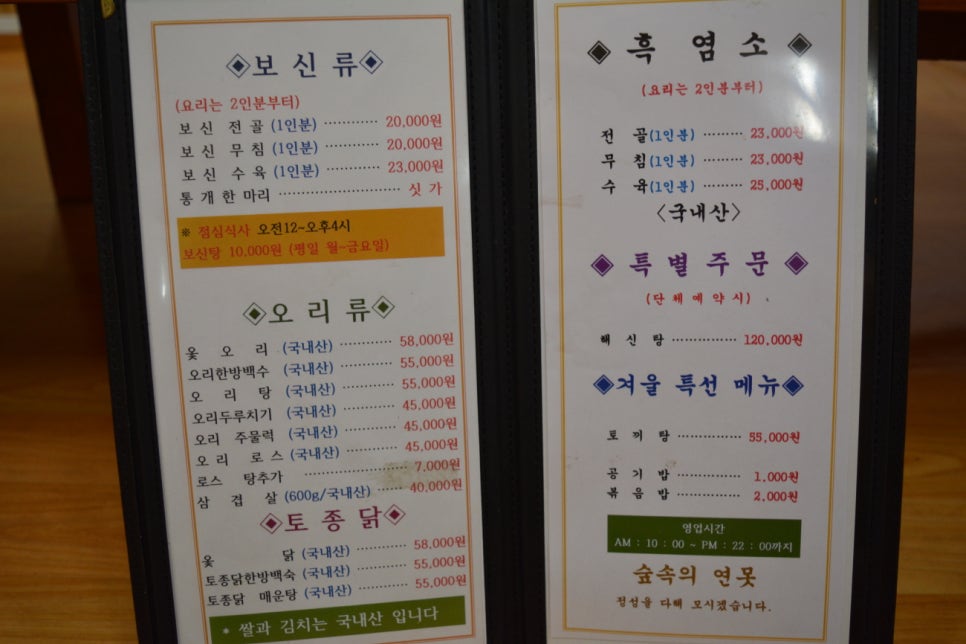 숲속의오리 이미지