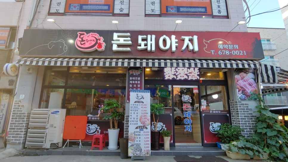 돈돼야지 이미지