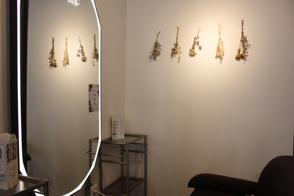 Salon, 쉼 이미지
