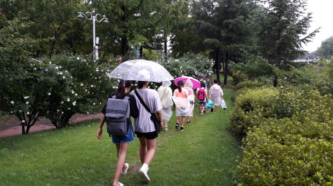 봉숭아물 이미지