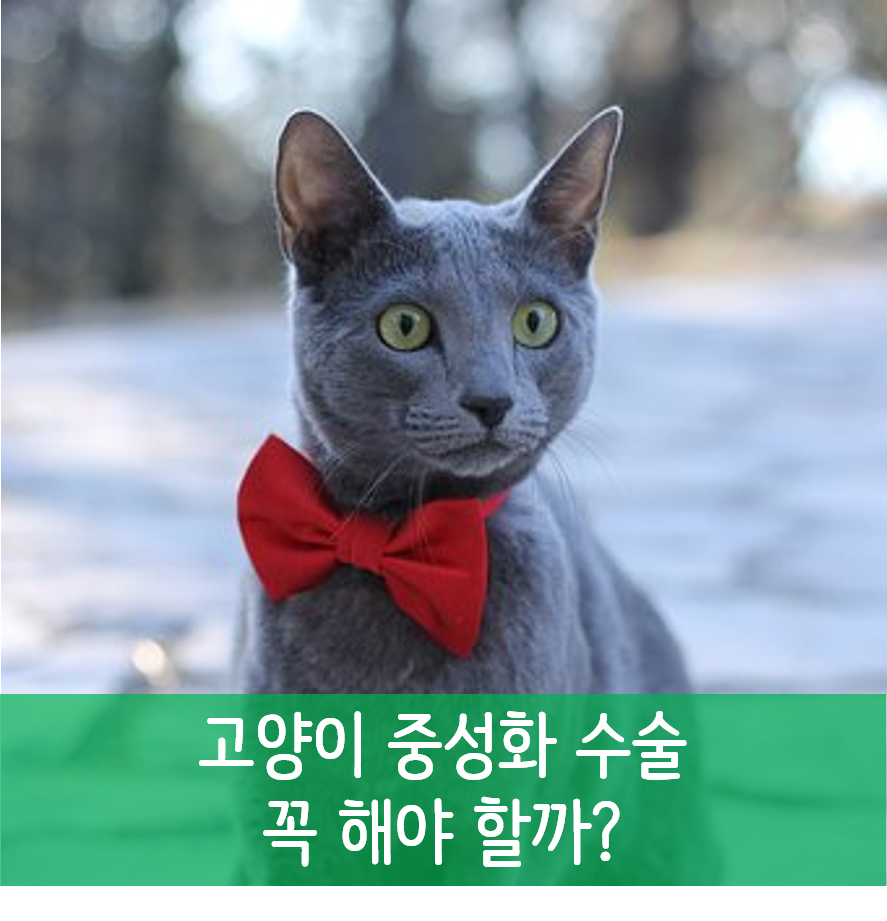 My Image 24