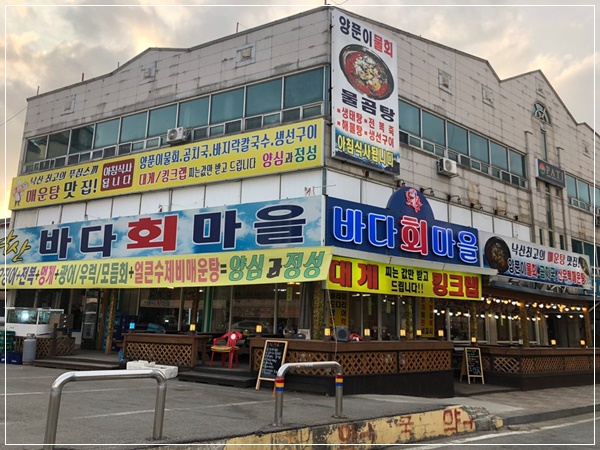 바다회 이미지