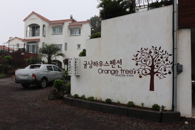귤낭 이미지