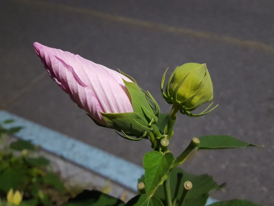 사회적협동조합한강 이미지