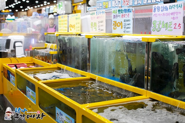 어시장횟집 이미지