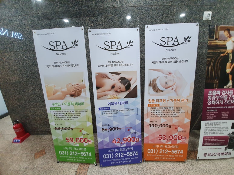 스파나무 이미지