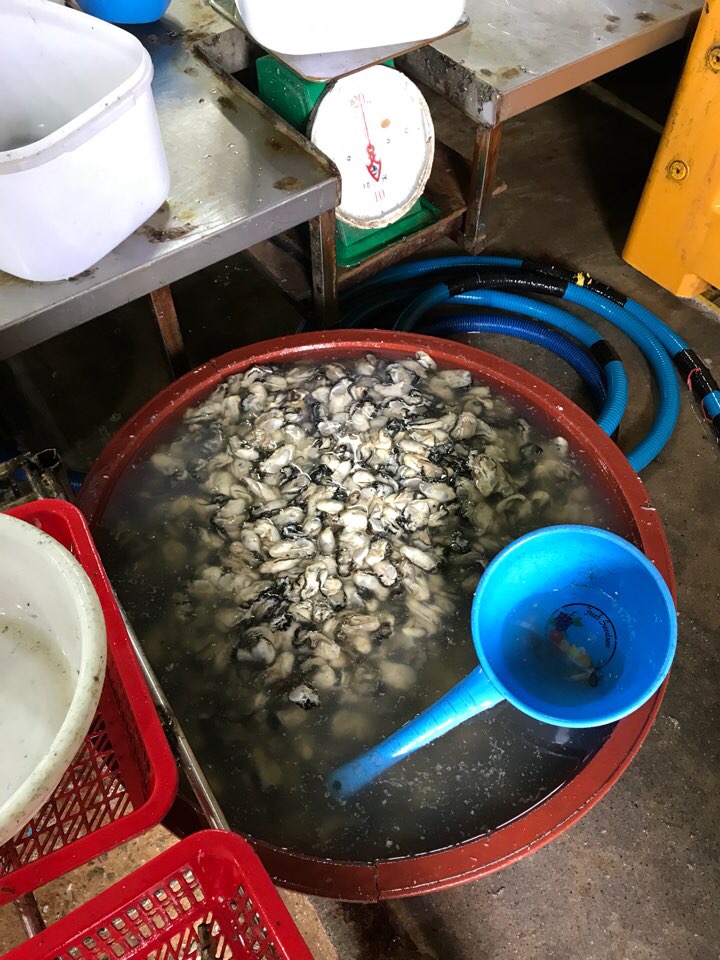파랑새굴수산 이미지
