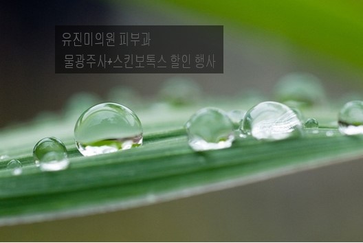 유진미의원 이미지