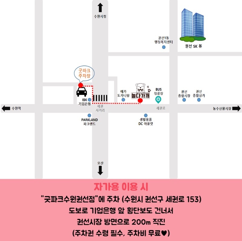 놀다가개 이미지