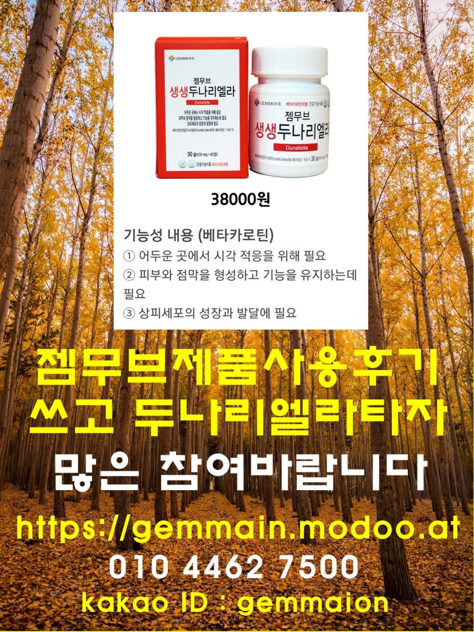 젬마헤어 이미지