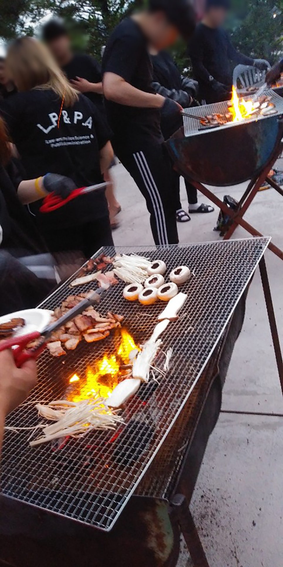 바바페 이미지