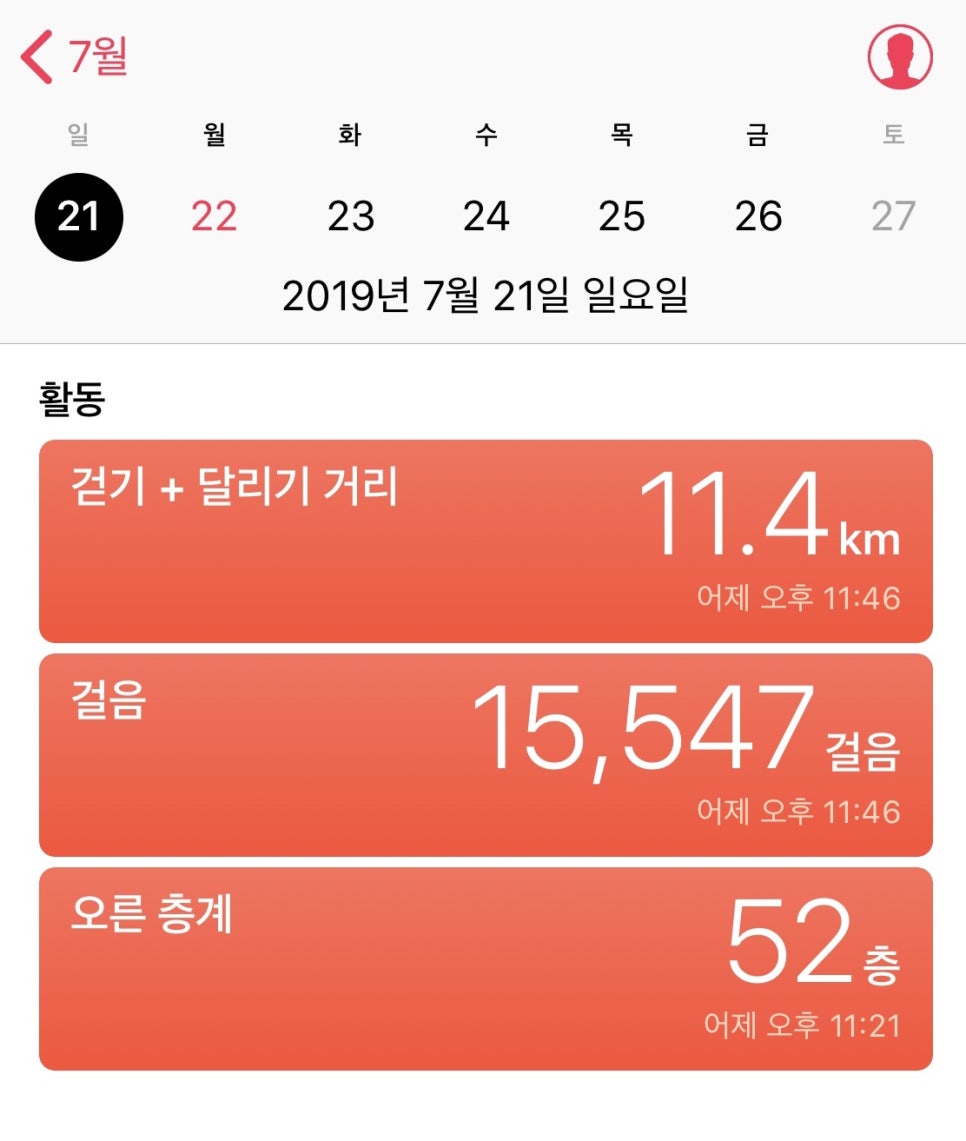 파스테이스 이미지