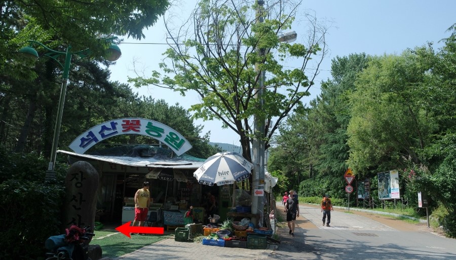 장산꽃농원 이미지