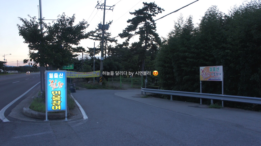 월출산힘찬장어 이미지
