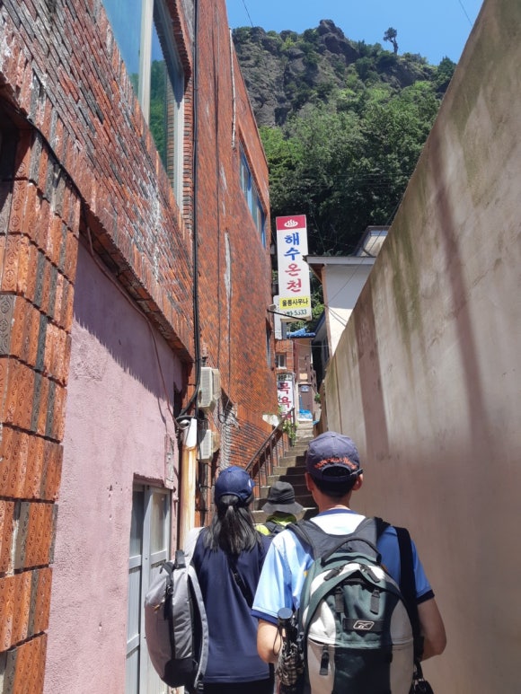 동백관광여행사 이미지