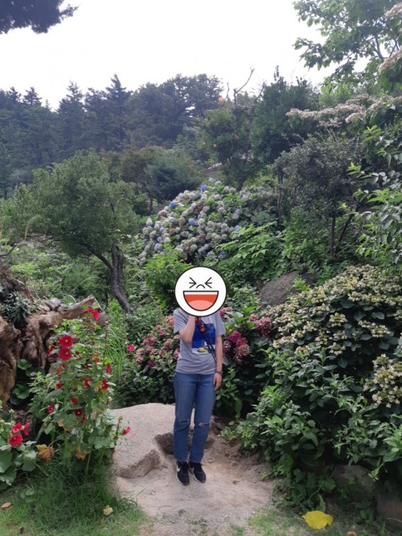동백관광여행사 이미지