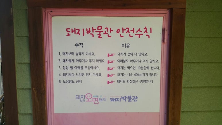 이천돼지 이미지