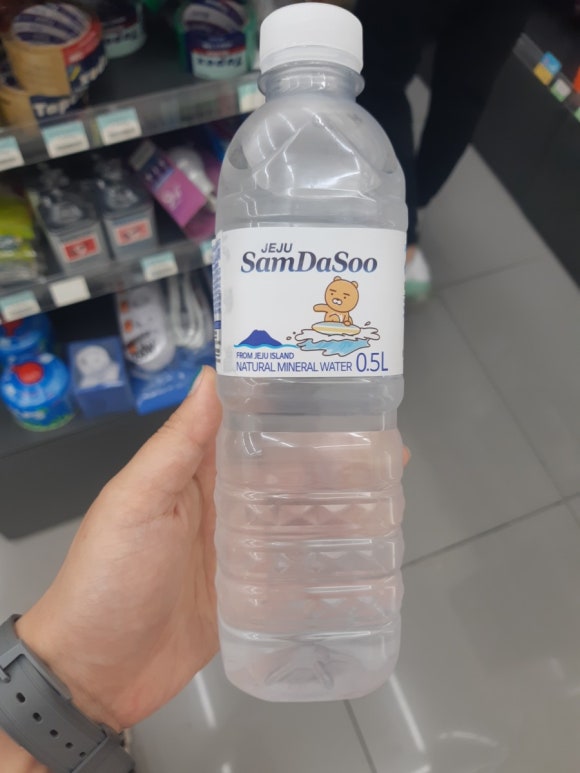 동백관광여행사 이미지