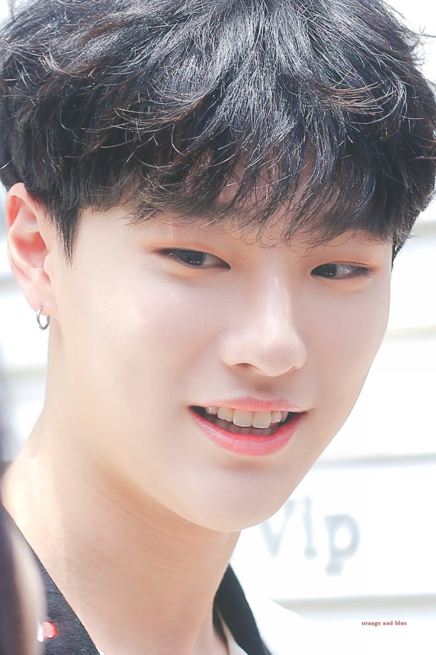 올라올라 이미지