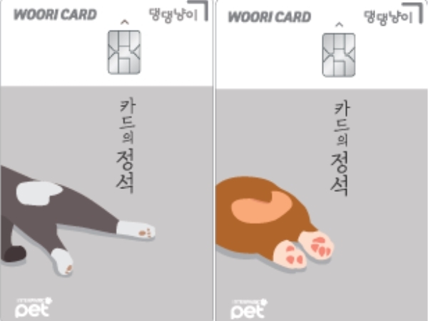 댕댕플레이트 이미지