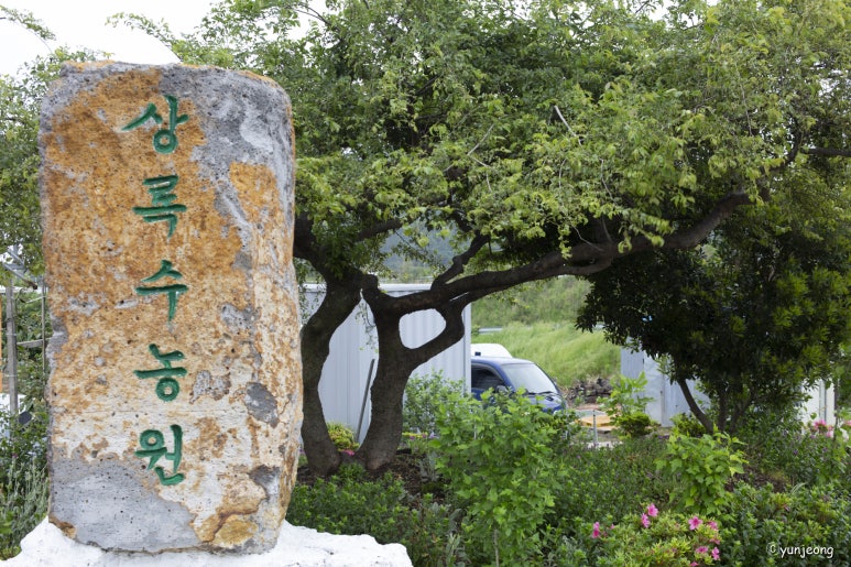 상록수농원 이미지