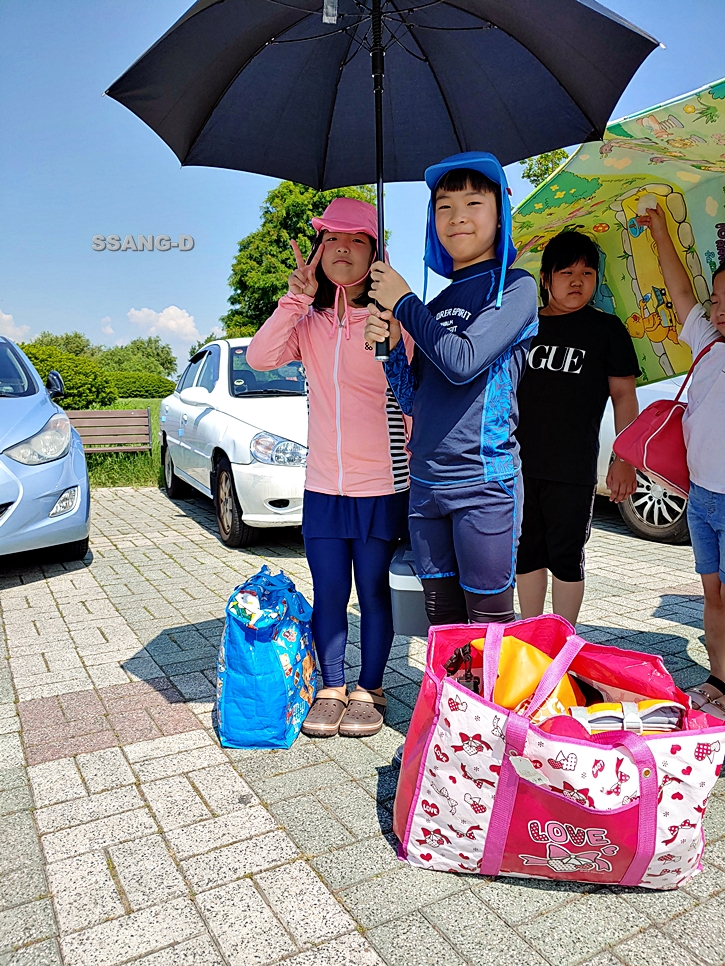 블루25워터파크(삼락야외수영장) 이미지