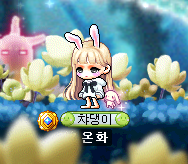 와이블링 이미지