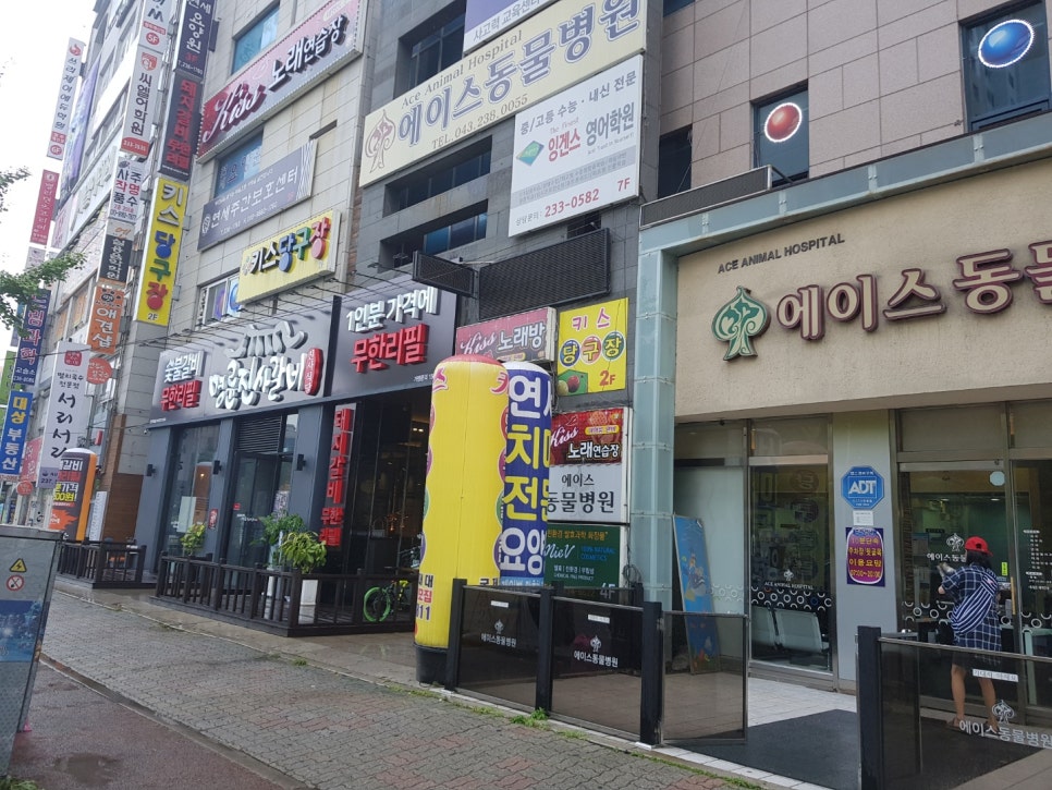 장관식복싱GYM 이미지
