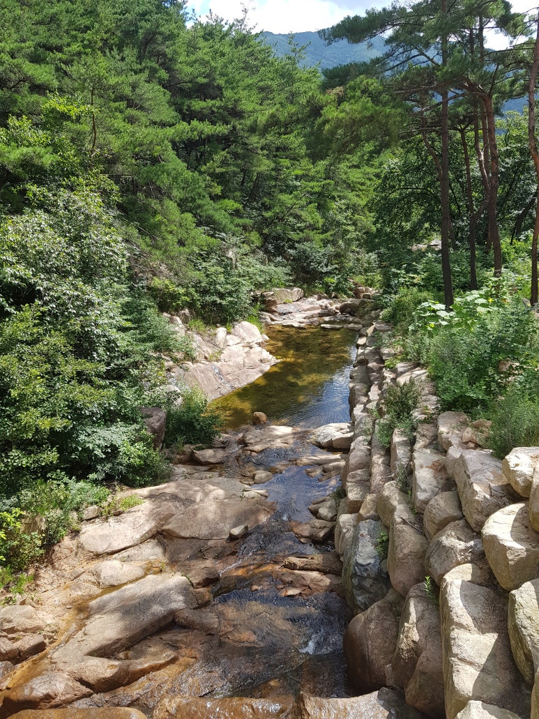 화왕산자연휴양림 이미지