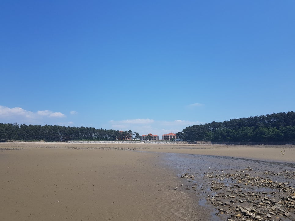 골든펜션 이미지