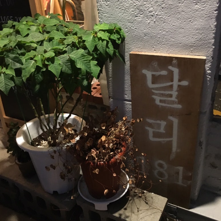 달리181 이미지