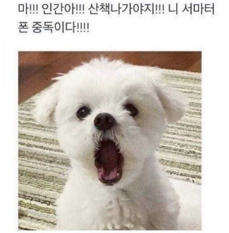 모아치과 이미지