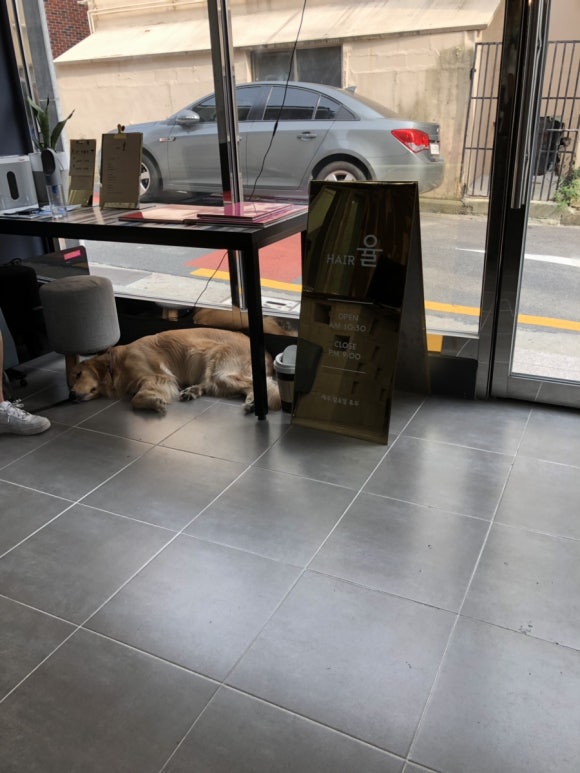헤어율 이미지
