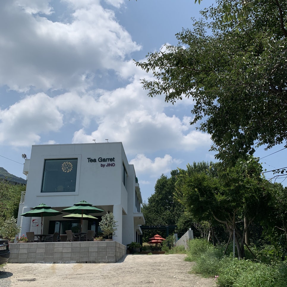 티가렛바이지노 이미지