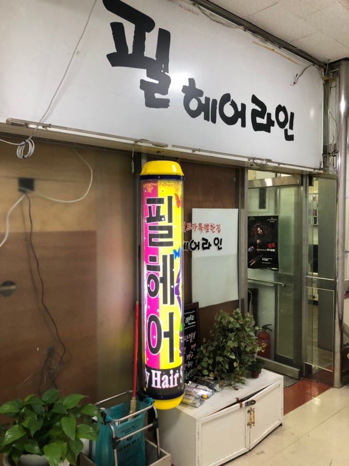 필헤어라인 이미지