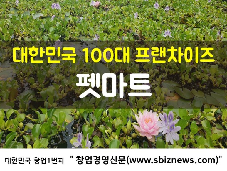메가엠지씨커피이마트에브리데이 이미지